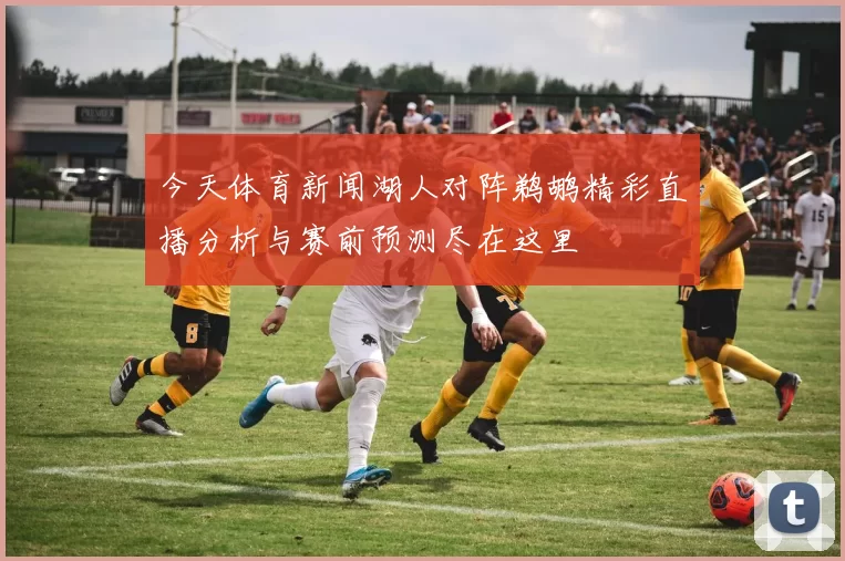 今天体育新闻湖人对阵鹈鹕精彩直播分析与赛前预测尽在这里