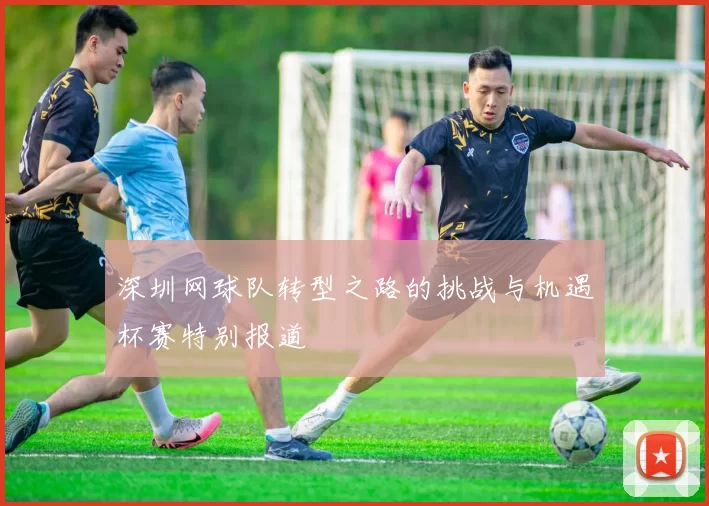 深圳网球队转型之路的挑战与机遇杯赛特别报道